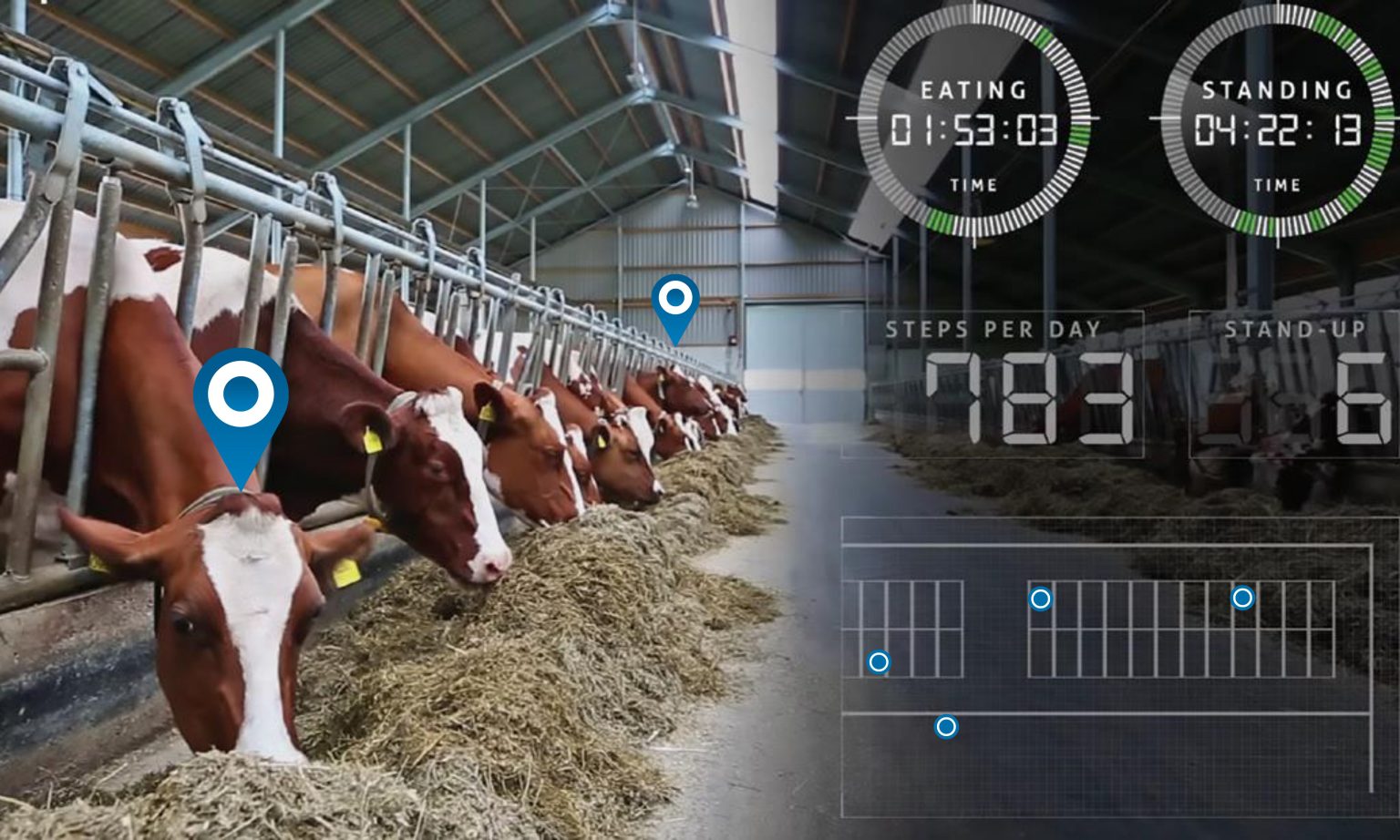 Placeholder feed storage facility
